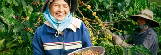 sustainability header  1