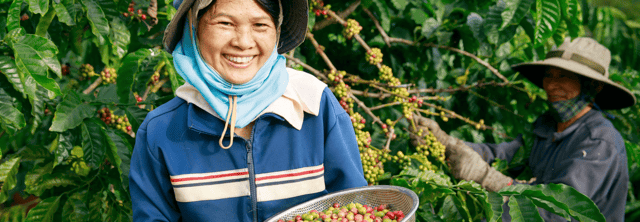 sustainability header  1